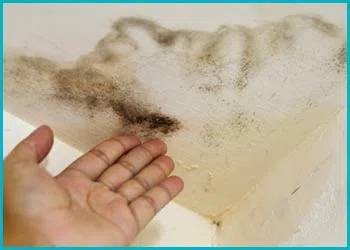 Miami Restoration Company Miami, FL 786-312-1354 Miami Restoration Company Miami, FL 786-312-1354 - city-page-water-leaks