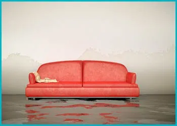 Miami Restoration Company Miami, FL 786-312-1354 - cont-img-flood-damage