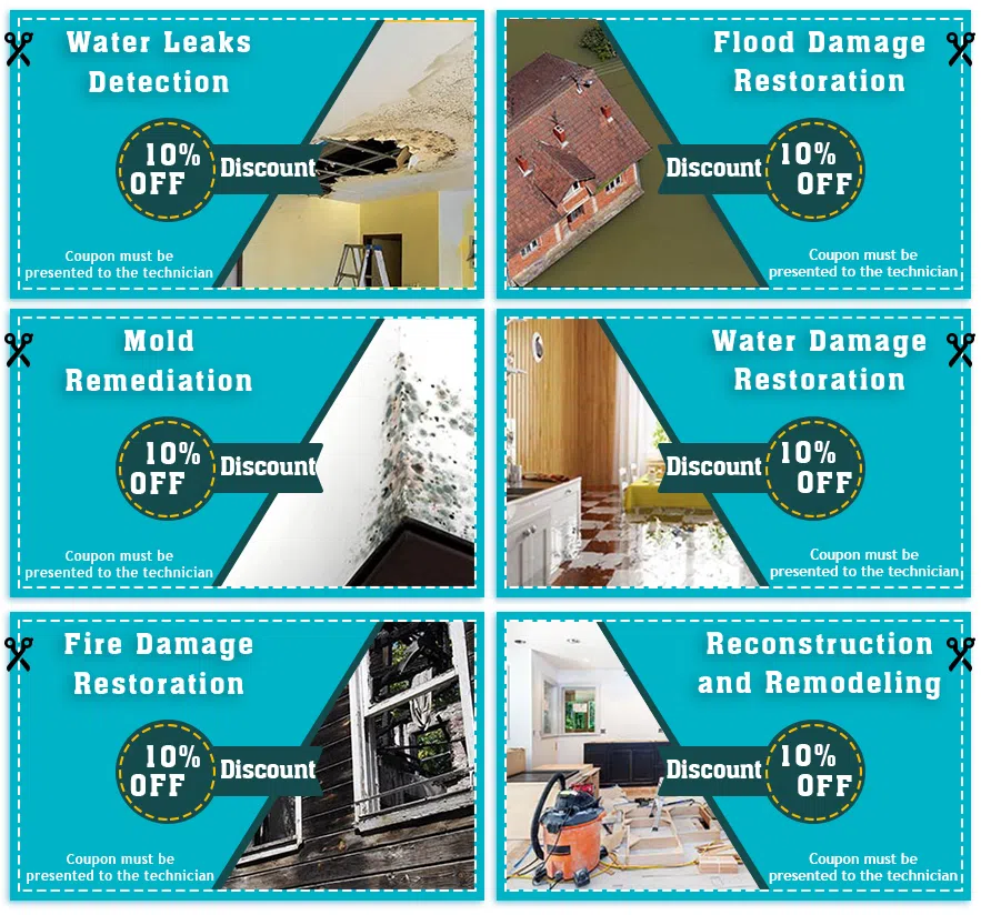 Miami Restoration Company Miami, FL 786-312-1354 - set-3